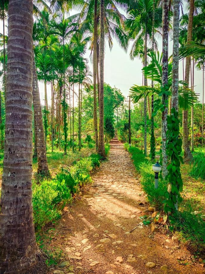 Nature'S Nest Eco Resort Goa, Near Dudhsagar Waterfalls Molem Exterior foto