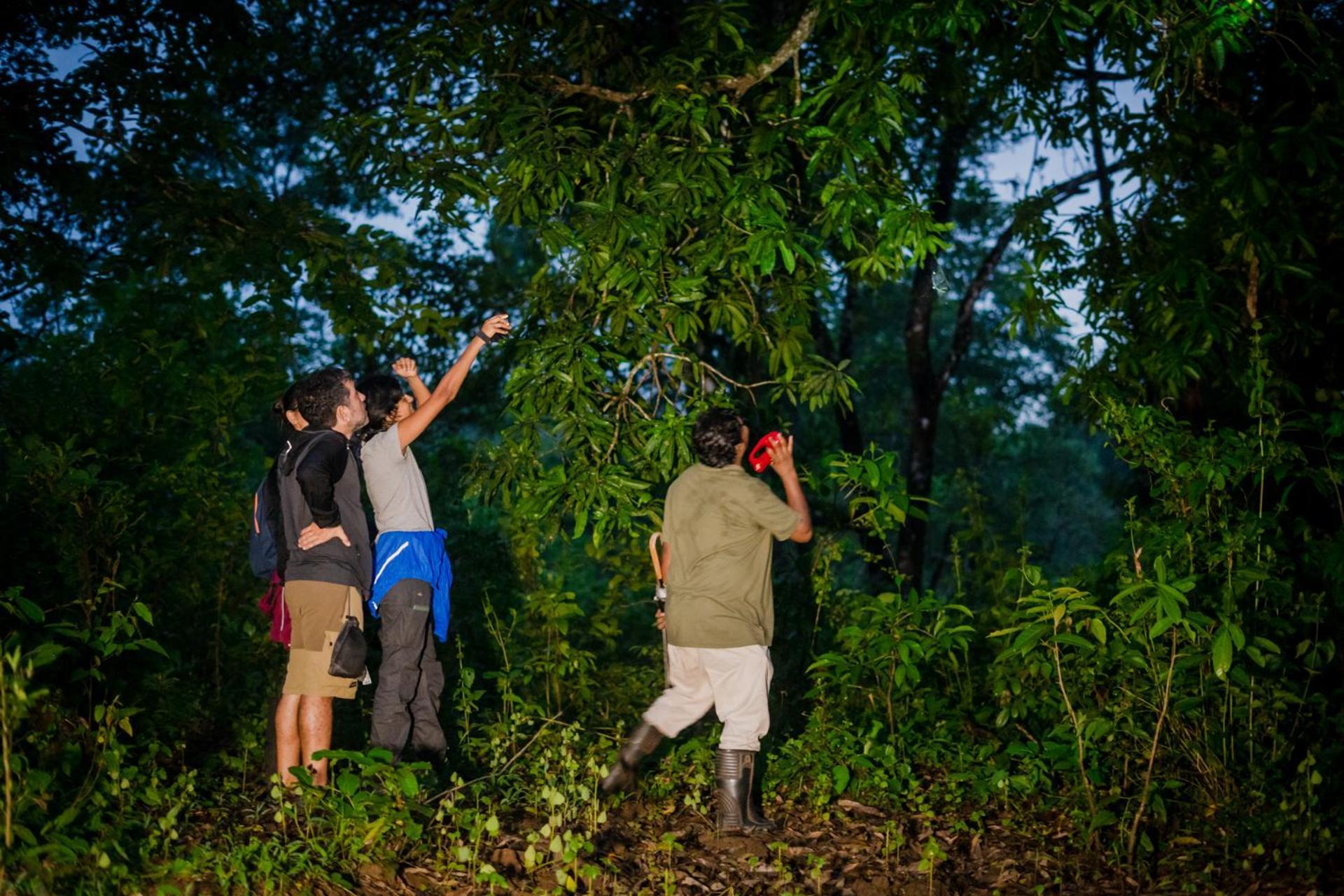 Nature'S Nest Eco Resort Goa, Near Dudhsagar Waterfalls Molem Exterior foto